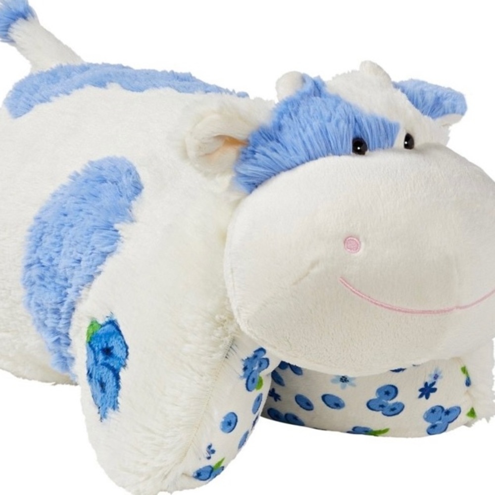 🫐Cute kawaii blueberry pillow pet🫐